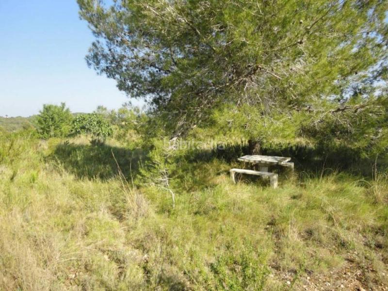 Foto b42a5d2c-0a07-4f6a-9eb4-657897b1eb1a. Terreny residencial a clarà 00 a Pobla de Montornès (La)