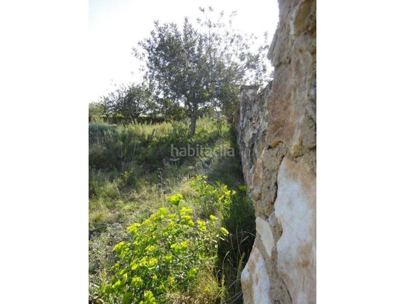 Foto c94f72b6-88c3-4dfc-94b5-b7b971fa1a81. Terreny residencial a clarà 00 a Pobla de Montornès (La)