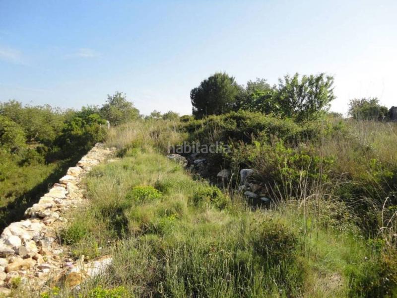 Foto deddd34c-8463-4adc-bc3e-8a649f77de18. Terreny residencial a clarà 00 a Pobla de Montornès (La)