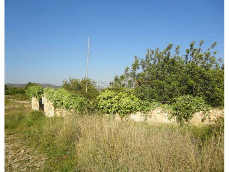 Foto e7259982-f7a9-4e25-938c-9d327b6d58b3. Terreny residencial a clarà 00 a Pobla de Montornès (La)