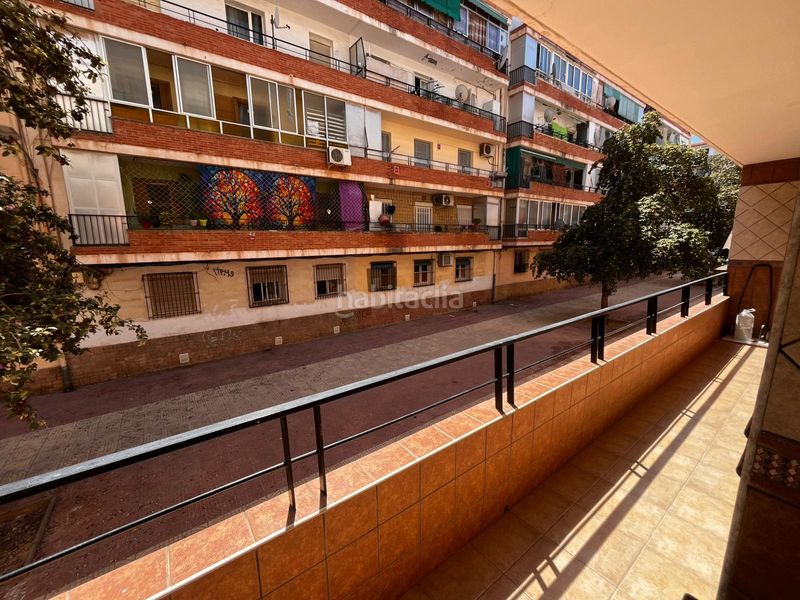 Foto 05b8a6b6-c46e-41b9-aeb6-7efebf15fb83. Pis a Virgen del Remedio - Parque Lo Morant Alicante