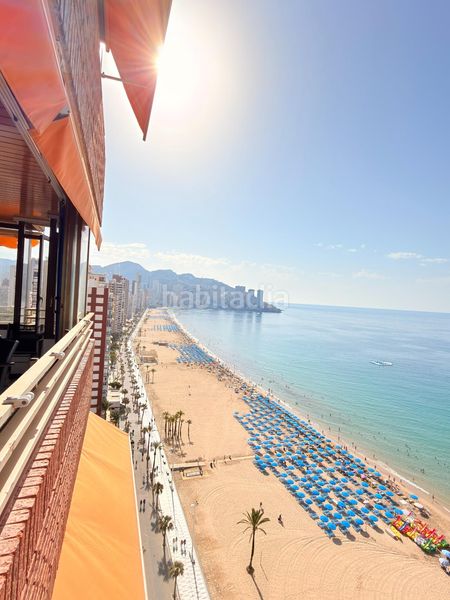 Foto 05cf1846-693e-46a1-bb86-38ea5fd7115e. Pis amb calefacció aparcament piscina a Playa Levante Benidorm