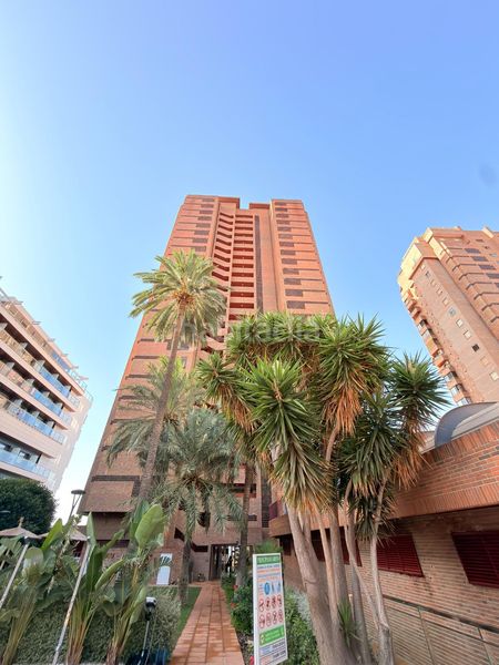 Foto 97ca9f86-2775-4981-9c40-a09d20cd6d97. Pis amb calefacció aparcament piscina a Playa Levante Benidorm