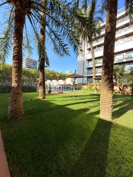 Foto c7f935ce-c972-4ab9-bcf2-1498a2ce43ed. Pis amb calefacció aparcament piscina a Playa Levante Benidorm