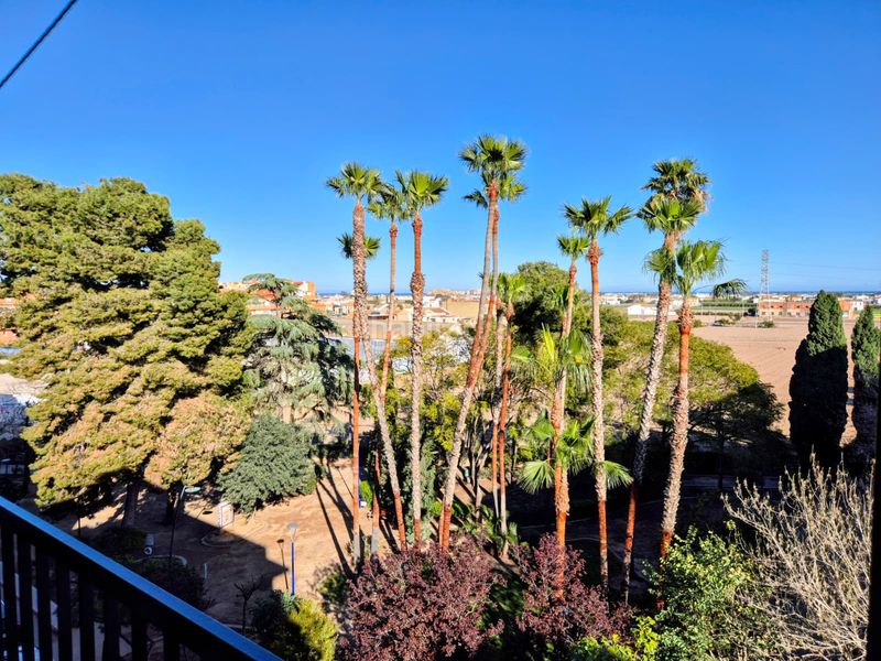 Foto 9345c75e-686e-4943-a8ef-e0d7512b6c2d. Pis a Almàssera