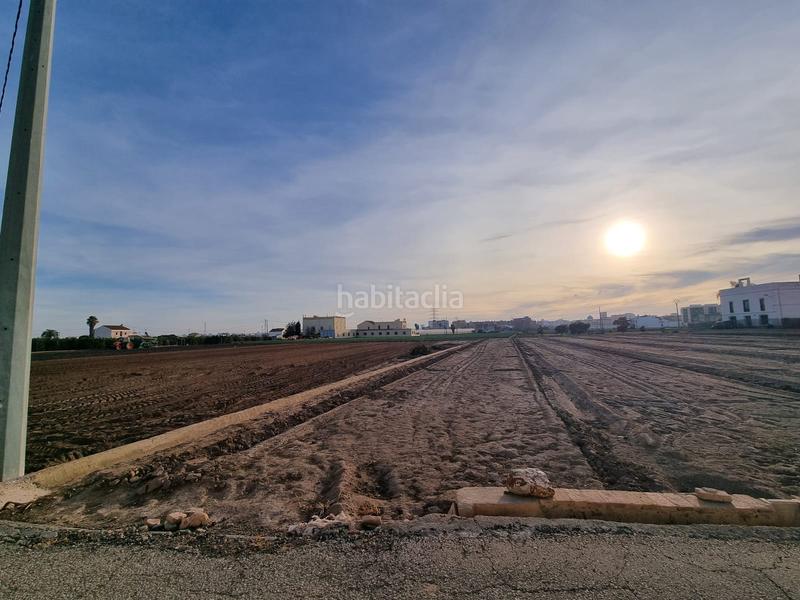 Foto 5f35f94b-5a0f-42cc-bcc0-6e4ccbdcc7b5. Finca rústica a Almàssera