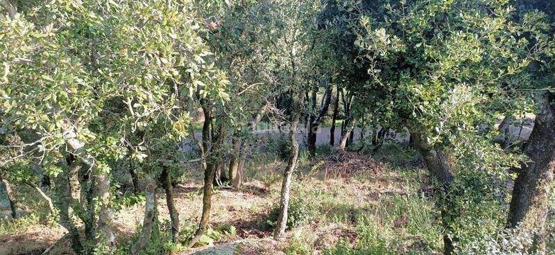 Foto 490690c4-145a-4bac-9e1e-04186454b6ac. Terreno residencial en Vajol (La)