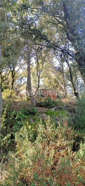 Foto bf3cb046-c724-4cfe-b59a-0601574965da. Terreno residencial en Vajol (La)