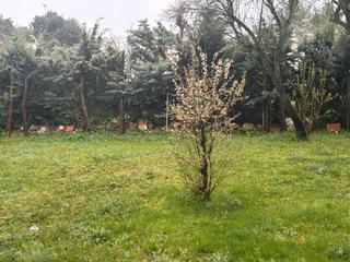 Chalet  N/a. En venta chalet