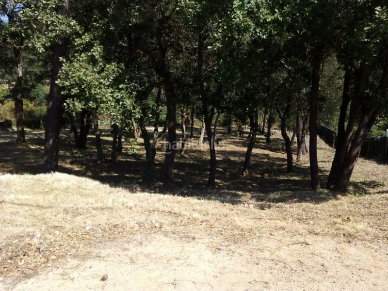 Foto 076be021-35c5-46e8-84a6-369803cb4426. Terreno residenziale in terrabrava - Tordera parc Tordera