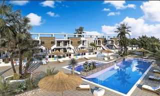 Apartamento  La peseta. En mil palmeras