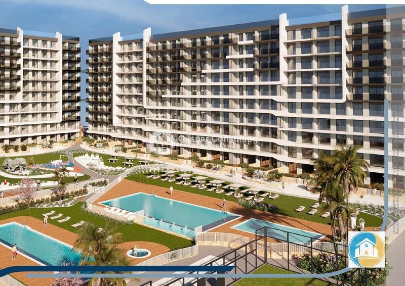Foto 1b002e52-7b38-45a9-ab48-66a18ed6dbdb. Apartamento en Punta Prima en Punta Prima Orihuela