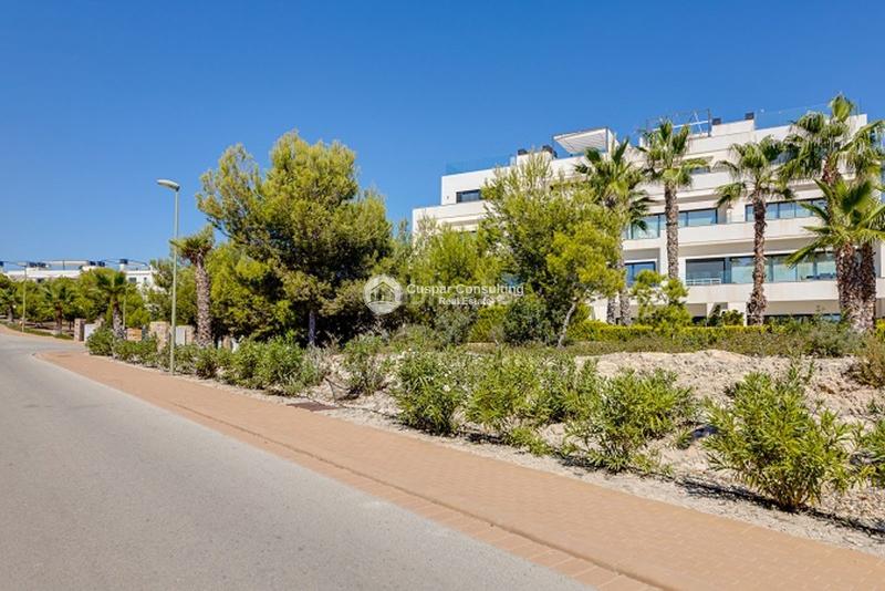 Foto 73ee627a-add3-4b30-92f1-5ce537462f30. Àtic amb calefacció aparcament piscina a Campoamor Orihuela