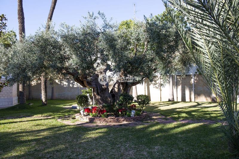 Foto c54224a5-6120-41f2-834d-d5ace76fee44. Casa adossada amb calefacció aparcament piscina a San Pedro del Pinatar