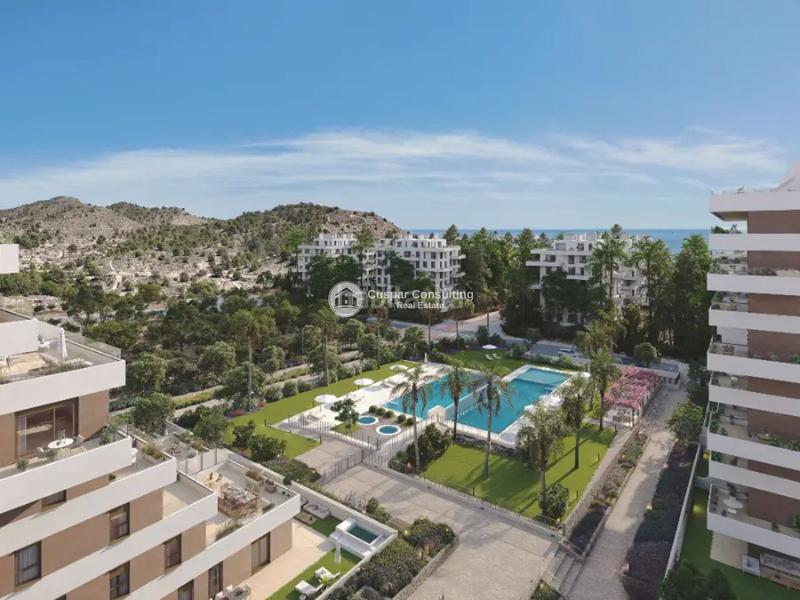 Foto 3daf31e0-02cd-49b0-a9a1-062287242df5. Apartament amb calefacció aparcament piscina a Platja de Vila Joiosa Vila Joiosa (la)