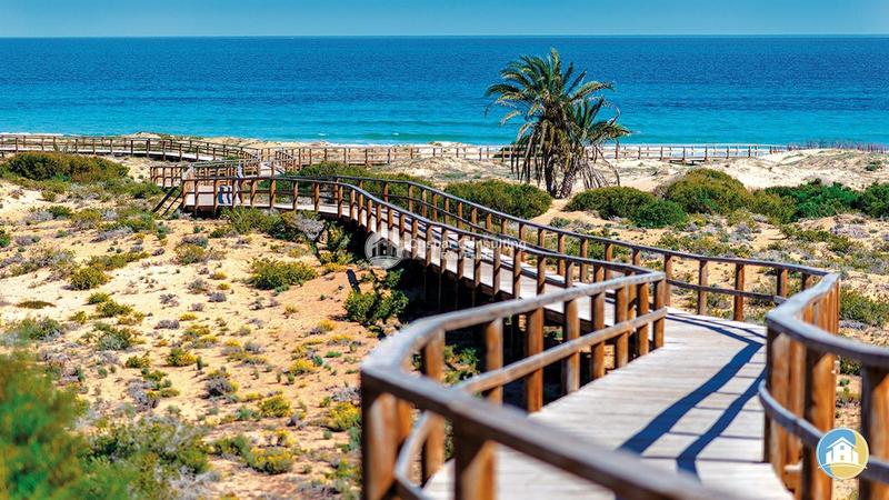 Foto 292df58e-e541-4069-92a8-48b5b6d63893. Dúplex amb calefacció aparcament piscina a Monforte del Cid