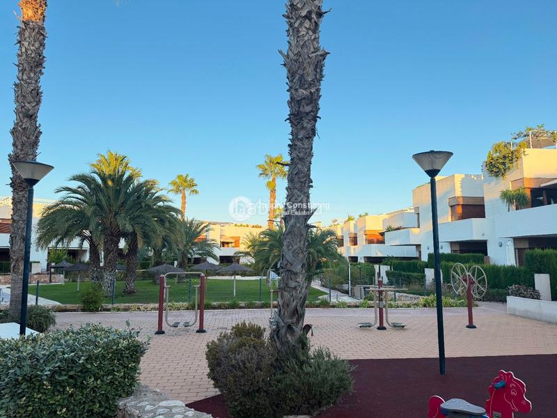 Foto 1b32ddbd-131d-41a5-8ada-2862a00dabd2. Apartament amb calefacció aparcament piscina a La Zenia Orihuela