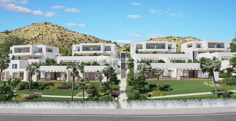 Foto 2b7a2707-e418-414d-afd0-f4128e4e1e7d. Dúplex amb calefacció aparcament piscina a Monforte del Cid