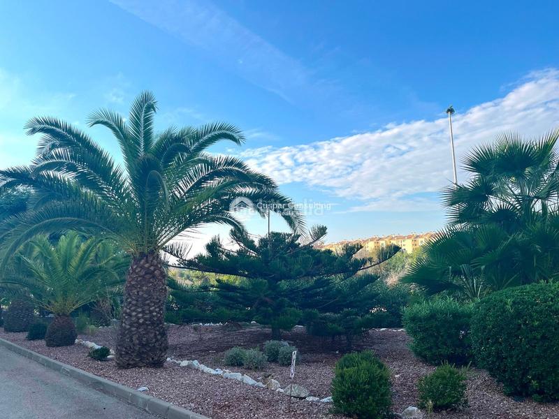 Foto 7639af98-fbb4-4a4e-bff6-7f1f6fb6064e. Apartament amb piscina a Villamartín-Las Filipinas Orihuela