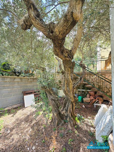 Foto 8793ce64-812a-4769-99d1-c1a9b1ea49e8. Haus in Cervelló