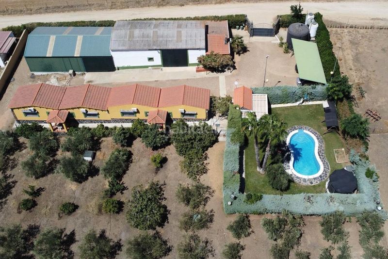 Foto 0f9dc038-37fe-49ed-9364-118daa8e89de. Casa amb piscina a Carretera de Sevilla - Los Montitos Badajoz