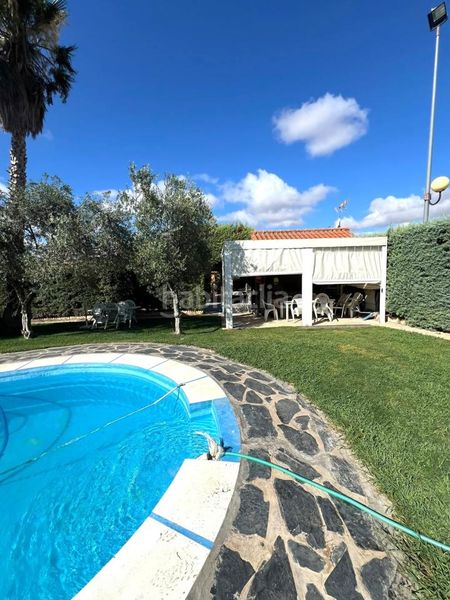 Foto 9bbd8ea3-ca44-48ef-8ef1-b95f1dca9987. Casa amb piscina a Carretera de Sevilla - Los Montitos Badajoz