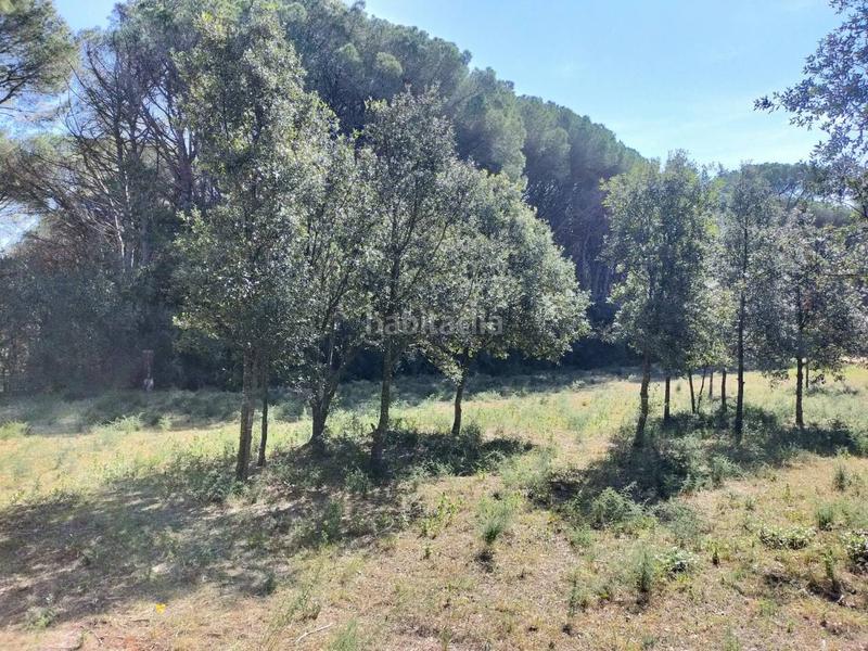 Foto b7145545-7889-4481-b622-1402682e9bde. Finca rústica a Pals