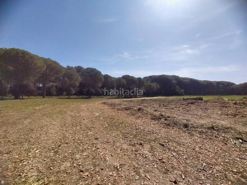 Foto d6e35bbd-46f6-42a6-b7ae-594bb22b669c. Finca rústica a Pals
