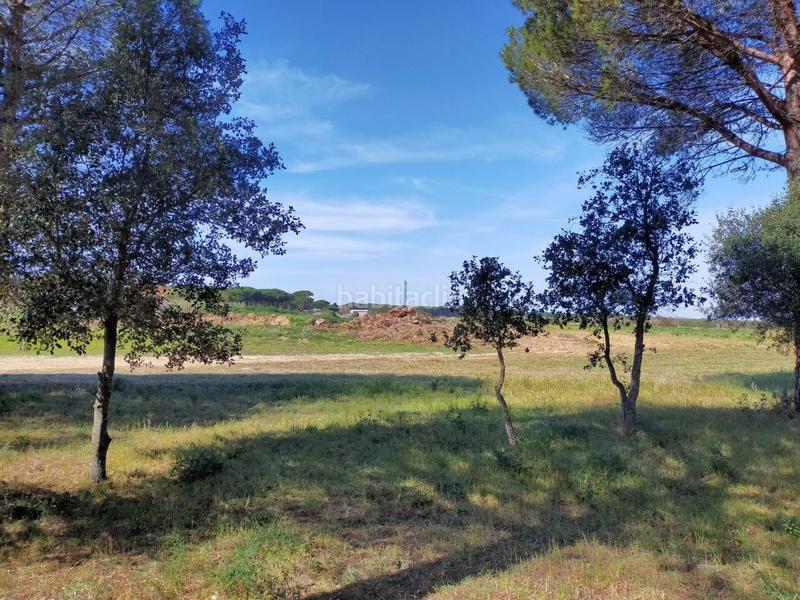 Foto e87cf667-3352-4452-96fb-99206b772fc7. Finca rústica a Pals