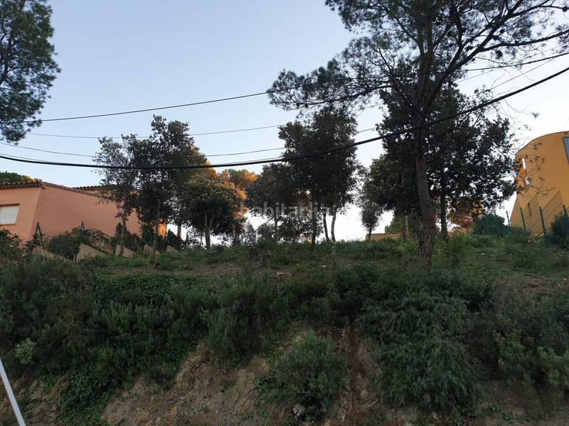 Foto 278ceeca-1999-4dd1-a05b-890cd4705f35. Finca rústica a residencial Begur-esclanyà Begur