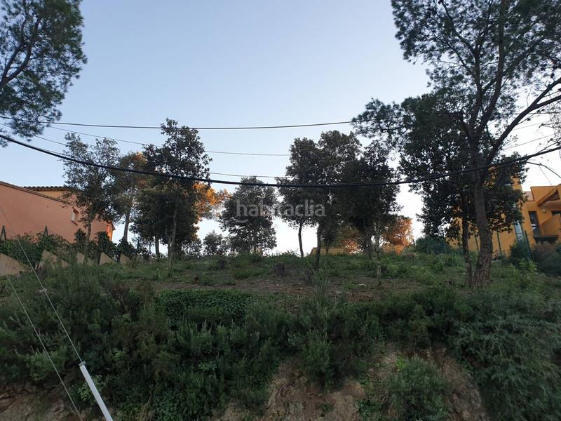 Foto 709ab6a3-e60e-4e9f-ab1b-3048a7ccb1f2. Finca rústica a residencial Begur-esclanyà Begur