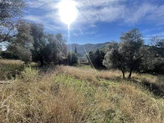 Terreny residencial  Olivet del veinat. Espectacular parcella en venta en llorà