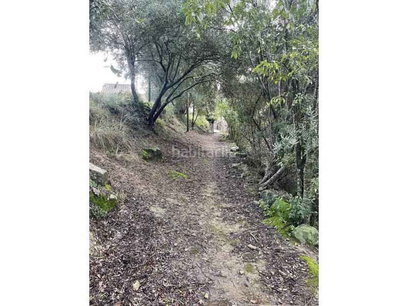 Foto 3956ae15-53e5-4810-85c3-7e977d9dc07d. Terreno residenziale in Sant Martí de Llémena