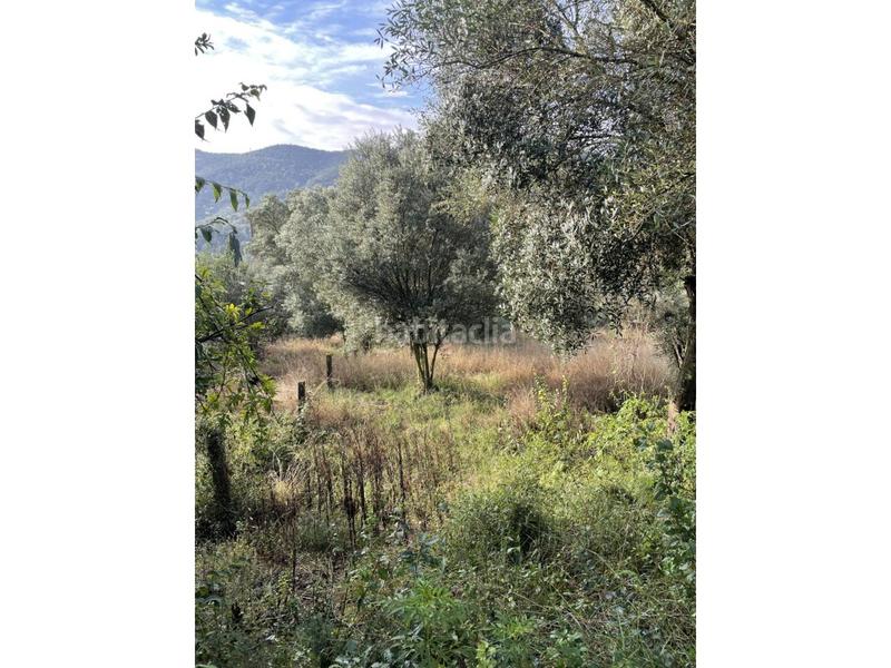 Foto 7601c823-0f75-4628-9e16-7c1ec84f8652. Terreno residenziale in Sant Martí de Llémena