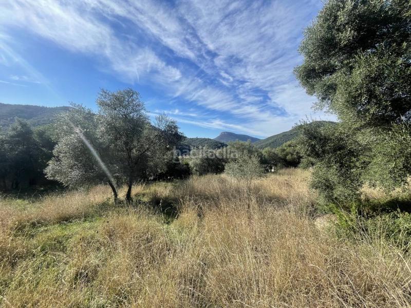 Foto 7cb2c615-8c61-44e4-b152-45bc6ee255a1. Terreno residenziale in Sant Martí de Llémena