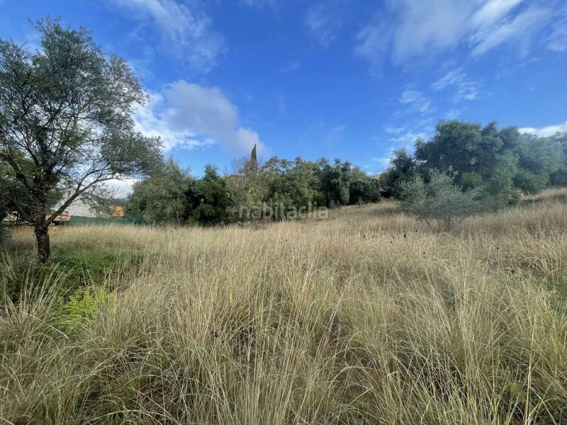 Foto a13ee36a-cf5c-4089-b660-b4e19f1de80a. Terreno residenziale in Sant Martí de Llémena