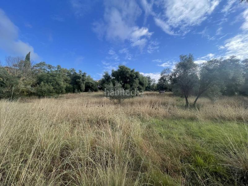 Foto c03f1a38-e204-4a6b-9b13-b2723948ef12. Terreno residenziale in Sant Martí de Llémena
