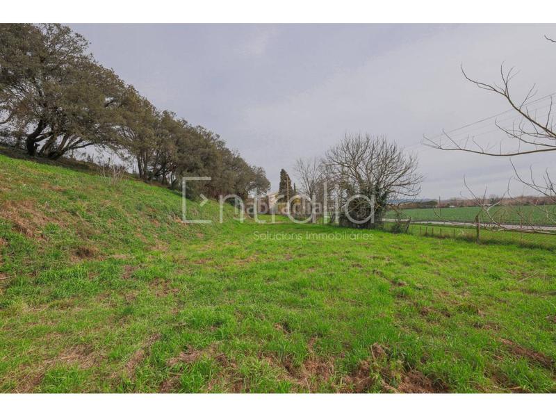 Foto 0bfe0e12-de6f-4792-b2ab-2635ce69a417. Bauernhof mit parking pool in Sant Gregori