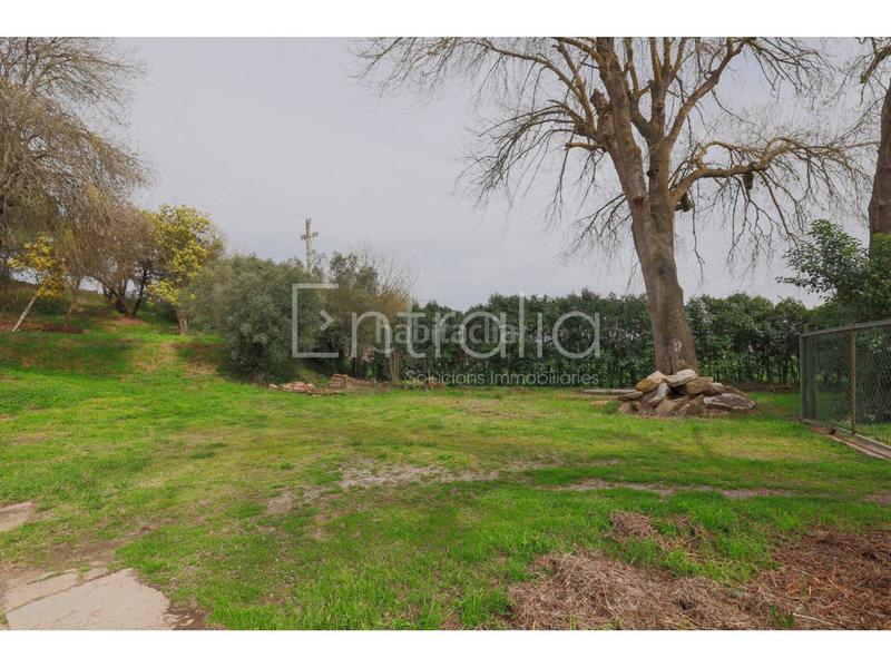 Foto ab6d4939-d569-4a01-9639-bd0b17674c7b. Bauernhof mit parking pool in Sant Gregori