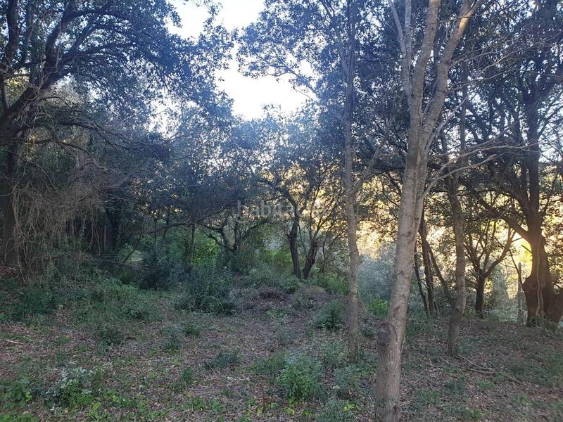 Foto 656b0571-37a2-44ee-8830-b0be81849778. Propriété dans mercuri 5 dans Sa Riera-Sa Fontansa Begur