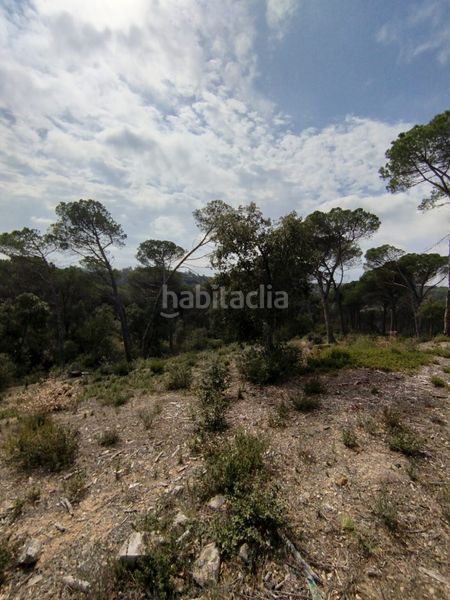 Foto a70d0d57-5bd5-4bd6-8aed-7aab7e4c1c61. Terreny residencial a Caldes de Malavella