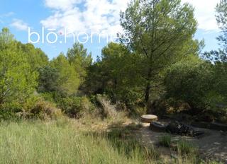 Terrain résidentiel à Camarena