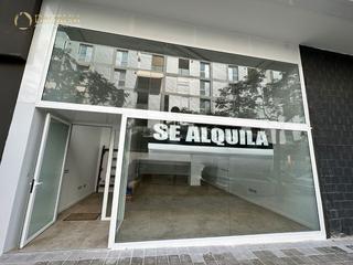 Local Comercial en Doctor Rafael Martínez San Pedro