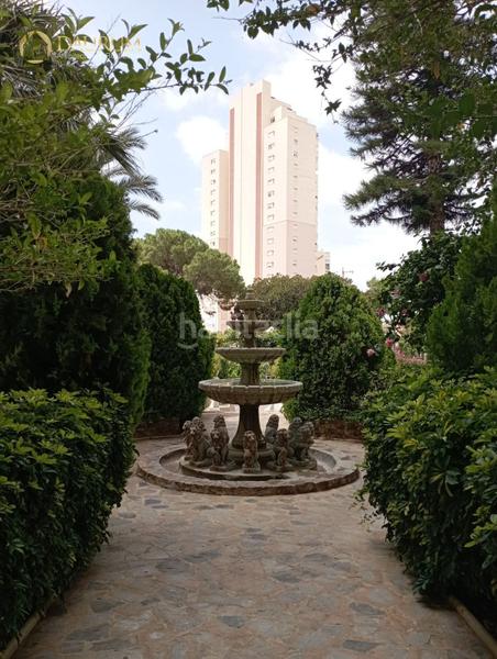 Foto d908405e-725d-4902-b880-a59d41461a83. Piso fantástico estudio en venta en Sierra Helada . en Benidorm