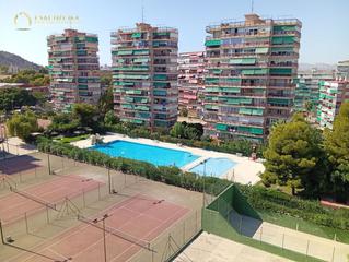 Appartement  Deportista juan matos. Impresionante vivienda de 2 dormitorios en la albufereta.