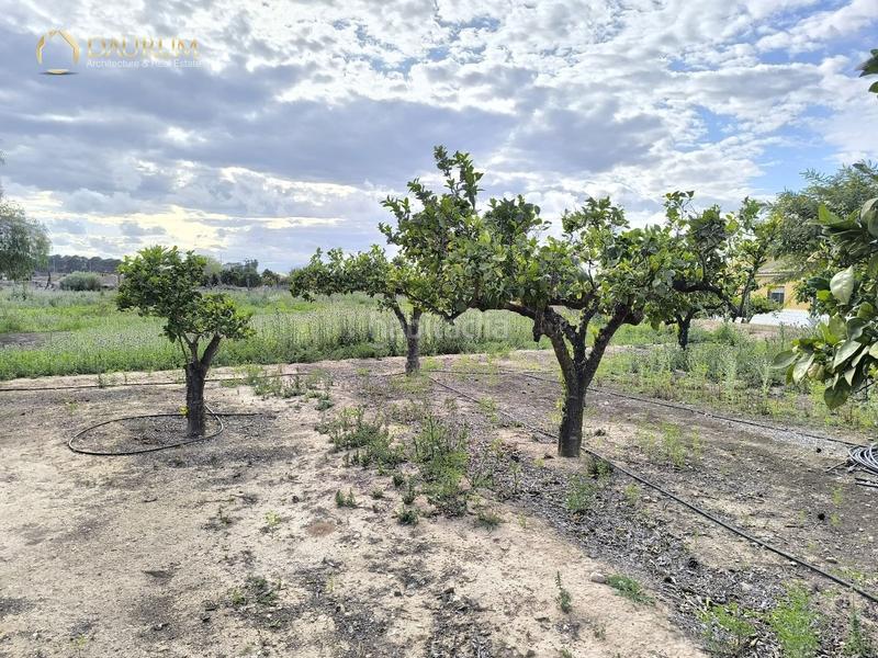 Foto 21365a8d-7063-4178-bc46-9f79356f005b. Chalet avec parking dans La Marina Elche / Elx