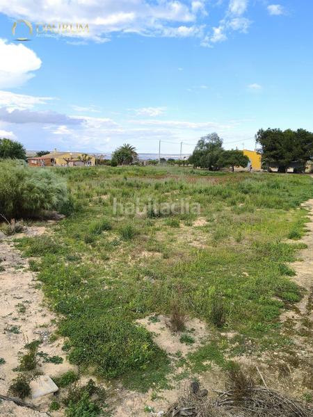 Foto 955965eb-0568-4f3f-ac1c-0b96d5db169c. Chalet avec parking dans La Marina Elche / Elx