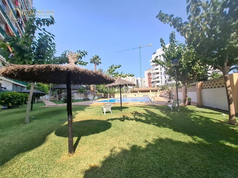 Foto 7fb69ace-b485-473f-bae7-ff5c78eb4494. Appartement avec piscine dans PAU 5 Alicante
