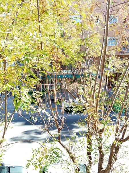 Foto fc2b320f-39f4-4692-ba62-25cc17a67edf. Pis a Centro San Juan de Alicante