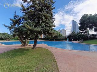 Piso  Marina baixa. Estupendo piso de 3 dormitorios en benidorm